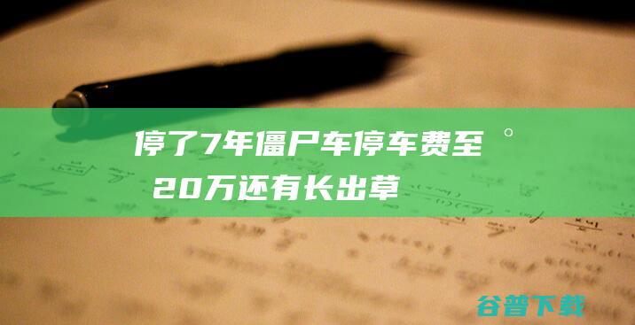 停了7年 僵尸车 停车费至少20万！还有 长出草！杭城重拳整治 (僵尸七天复活)